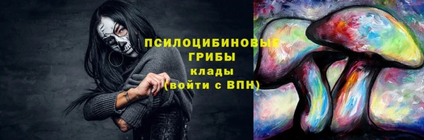 сатива Сосновоборск