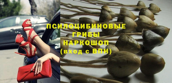 Альфа ПВП Строитель