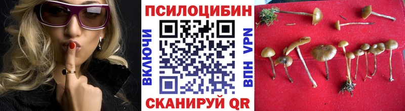 Галлюциногенные грибы Cubensis  Купить где  Еманжелинск 